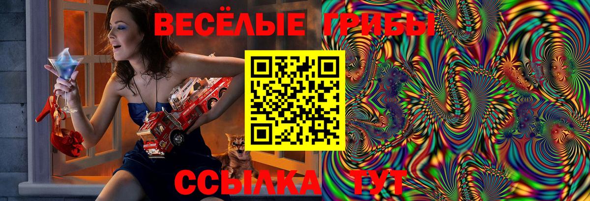 Псилоцибиновые грибы Magic Shrooms  Вход с VPN  наркошоп  Северодвинск  Галлюциногенные грибы Magic Shrooms 