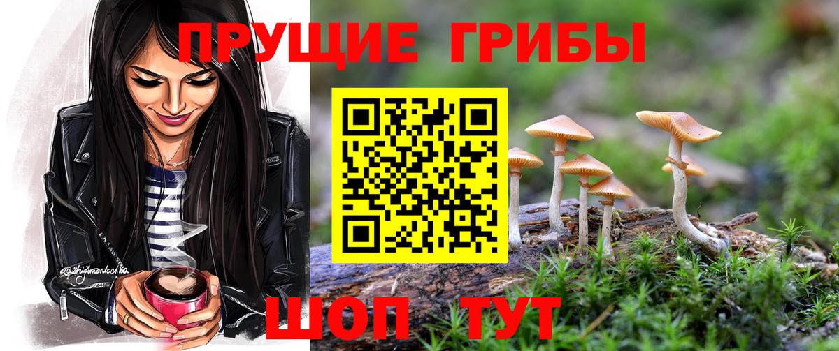 Псилоцибиновые грибы Psilocybine cubensis Северодвинск