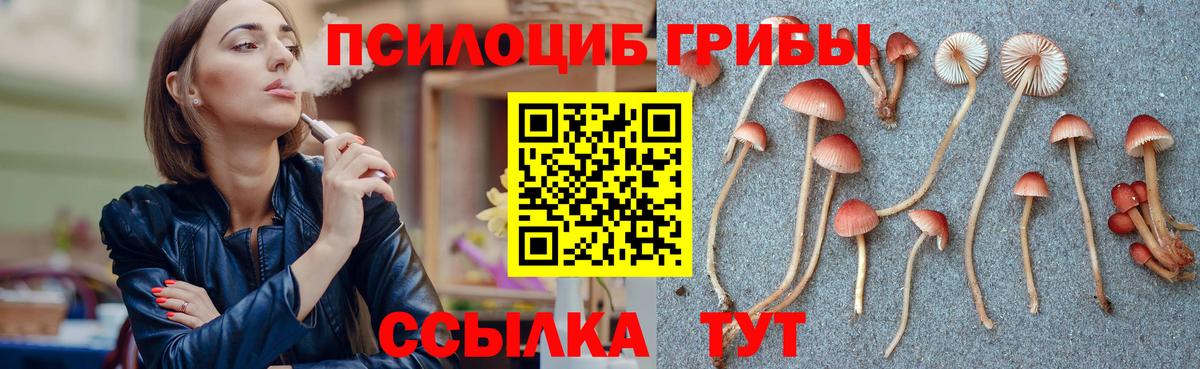Псилоцибиновые грибы Cubensis  Северодвинск 